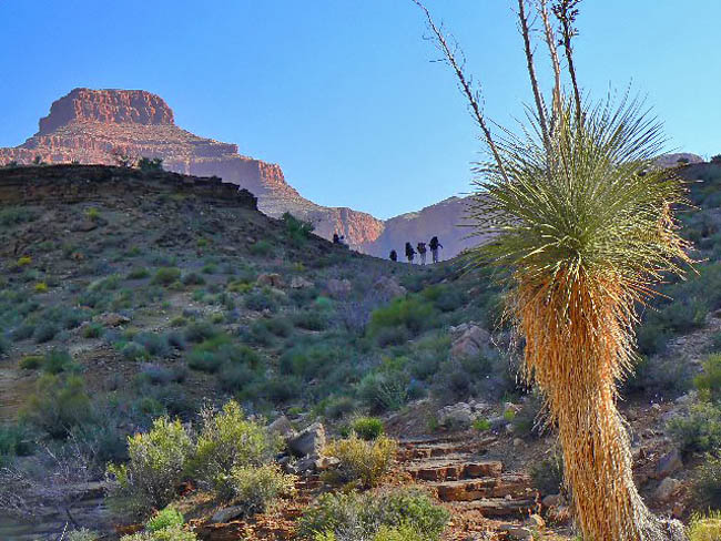 Cope Butte - Tonto Trail, Grand Canyon National Park, Arizona