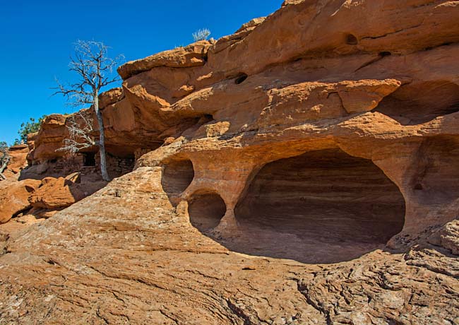 Aztec Butte Arches - Island in the Sky, Canyonlands National Park, San Juan County, Utah