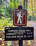 Sabbaday Falls Trail Sign - White Mountains National Forest, New Hampshire