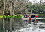 Silver River Canoe Trip - Ocala, Florida