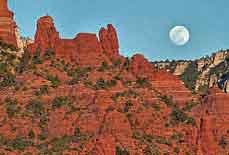Image result for snoopy rock az