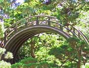 Tea Garden Bridge - Golden Gate Park, San Francisco, California
