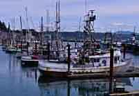 Yaquina Bay Dockage - Newport, Oregon