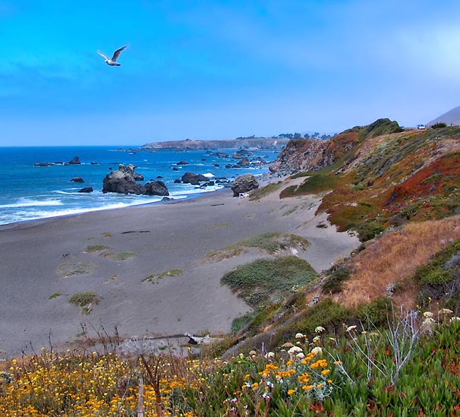 Portuguese Beach - Bodega Bay, California