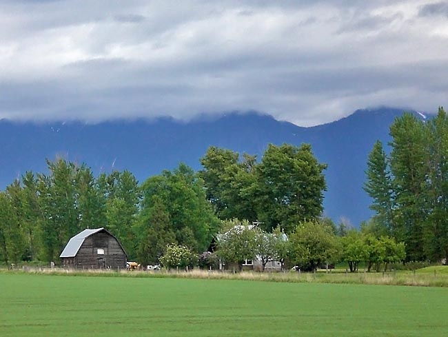 Flathead Valley Farm - Flathead County, Montana