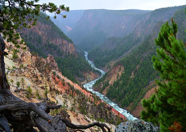 Yellowstone Grand Canyon - Canyon Village Area, Yellowstone National Park, Wyoming