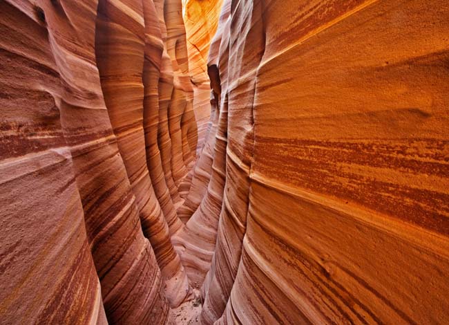 Zebra Canyon - Grand Staircase-Escalante National Monument, Escalante, Utah