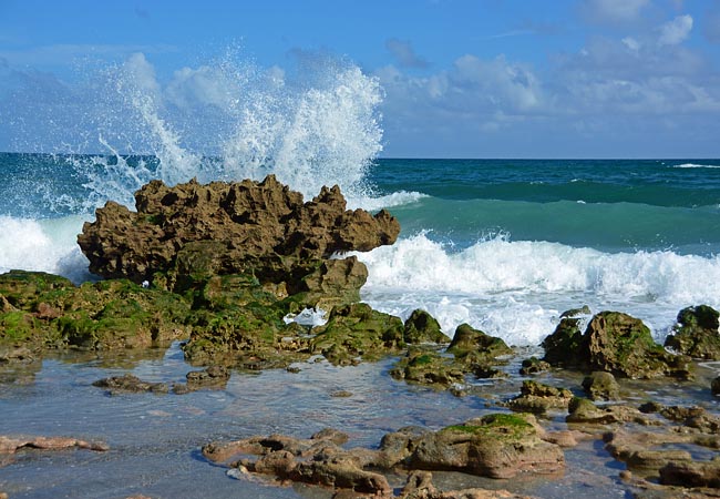 Blowing Rocks Preserve - Jupiter, Florida