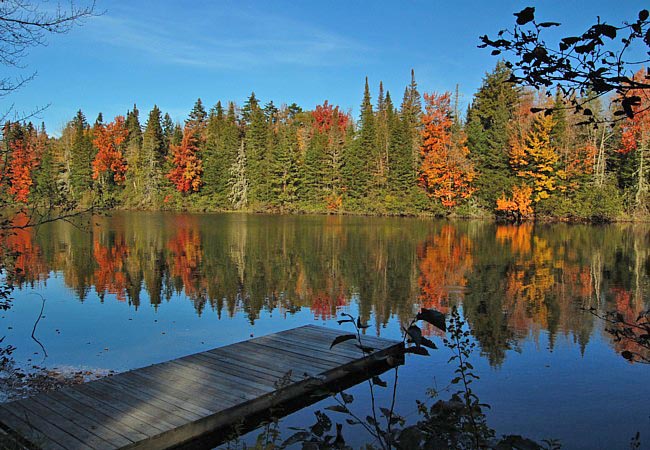 Mollidgewock State Park - Thirteen Mile Woods Scenic Area, Errol, New Hampshire