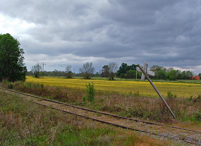 The Great River Road - Transylvania, Louisiana