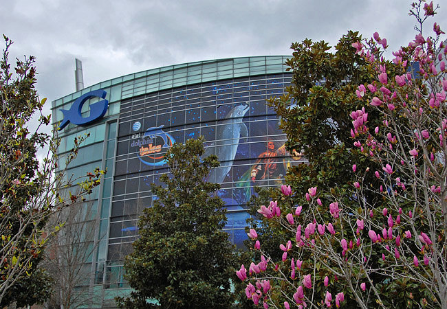 Georgia Aquarium - Atlanta, Georgia