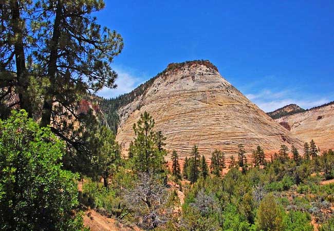 Checkerboard Mesa - Zion National Park, Utah