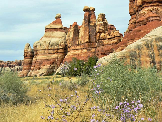 Chesler Park - Needles District, Utah