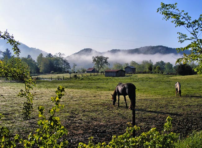 Zilpo Road National Forest Byway - Salt Lick, Kentucky