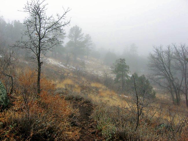 Woodchute Wilderness - Jerome, Arizona