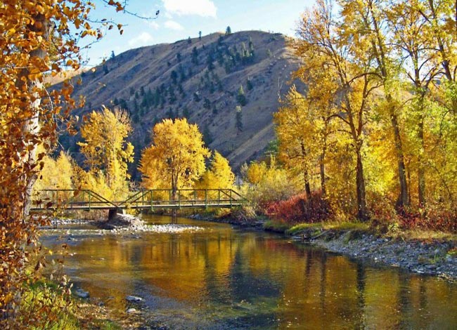 Entiat River - Entiat Ranger District, Washington