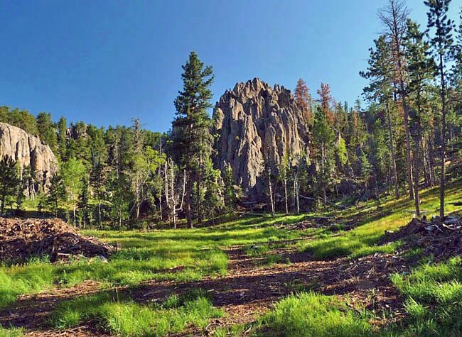 Black Elk Wilderness - Black Hill, South Dakota