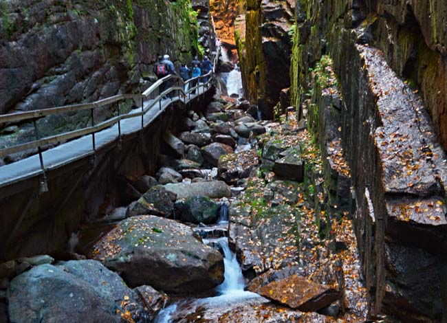 Cascade Brook - Franconia Notch State Park, New Hampshire