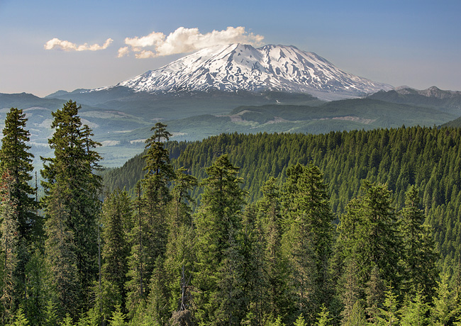 Mount St. Helens - Gifford Pinchot National Forest, Washington