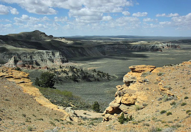 Whitehorse Creek Study Area - South Pass City, WY