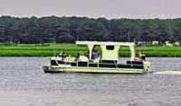 Boat Tour  - Assateague Island, Virginia