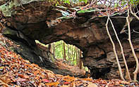 Babcock Natural Arch - Babcock State Park, West Virginia