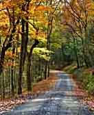 Bald Eagle State Forest Road - Woodward, Pennsylvania