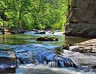 Tellico River