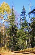 Baptism River Trail - Tettegouche State Park, Silver Bay, MN