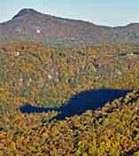 Bear's Emergence - Cashiers, North Carolina