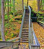 Boardwalk - Beartown State Park, West Virginia