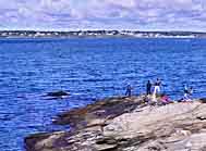 Beavertail State Park anglers - Jamestown, Rhode Island