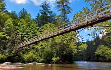 Benton MacKaye Trail Bridge