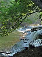 Blue Hole Falls - Duck River