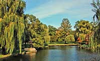 Lagoon Bridge View - Boston Public Garden, Massachusetts