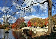 Central Park - Bow Bridge