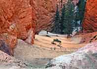 Under the Rim Trail Hikers - Bryce Canyon