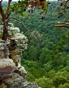 Bucks Pocket Overlook