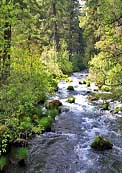 Burney Creek - McArthur-Burney Falls Memorial Park, California