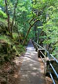 Falls Trail - McArthur-Burney Falls Memorial Park, California