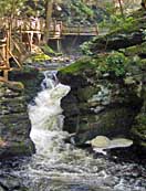 Upper Canyon - Bushkill Falls Park, Bushkill, Pennsylvania