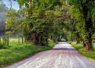 Cades Cove Loop Road - GSM National Park, TN