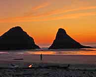 Cape Cove Seastacks - Heceta Head Lighthouse State Scenic Viewpoint, Oregon