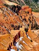 Traces of a snowfall - Cedar Breaks National Monument, Iron County, Utah