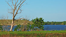 Chase Lake - Chase State Fishing Lake and Wildlife Area, Kansas