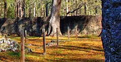 Colonial Dorchester Fort - Colonial Dorchester State Historic Site, South Carolina