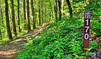 Conasauga Falls Trail - Tellico Plains, Tennessee