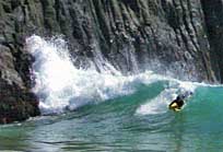 Crystal Cove Surf