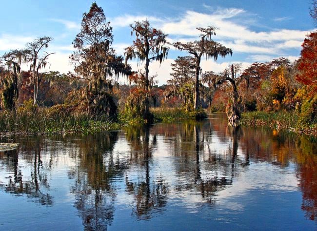 Wakulla River - Crawfordville, Florida