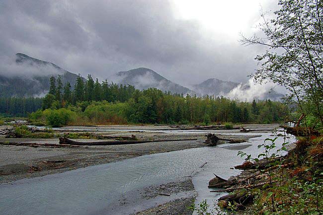 Hoh River - Olympic National Park, Washington